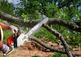 Mulching Services in Silver Summit, UT